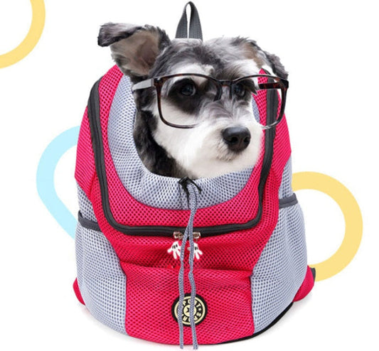 Happy dog in backpack from GlowMyDog – UK and US best dog products.